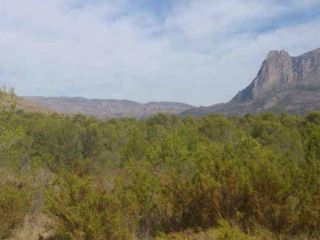 Suelos en Sector el Arquet 3