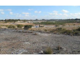 Suelo en Pt del Basó, Bétera 2