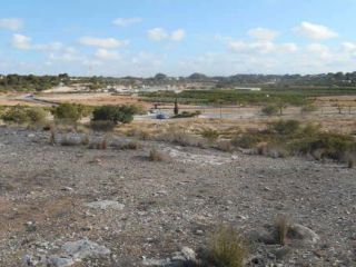 Suelo en Pt del Basó, Bétera 5