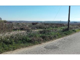 Suelo en Benavent de Segrià - Lleida - 2
