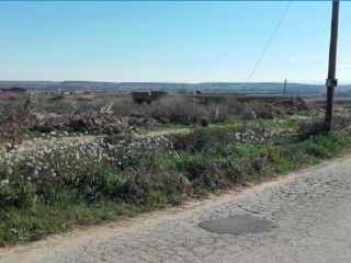 Suelo en Benavent de Segrià - Lleida - 5