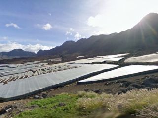 Suelo en La Aldea de San Nicolás 1