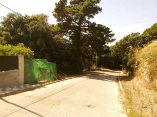 Suelo en Ur. Collsacreu 2