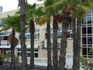Local en venta en Palmas De Gran Canaria de 60  m²