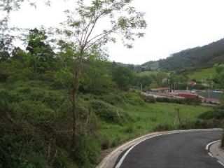 Suelo en Llanera 2