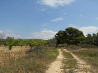 Partida Talades 3