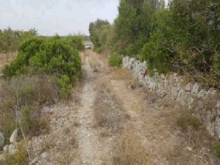 Suelo rústico en Santa Margalida (Illes Balears) 3