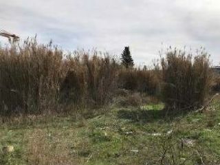 Otros en venta en Sant Fruitos De Bages de 546  m²