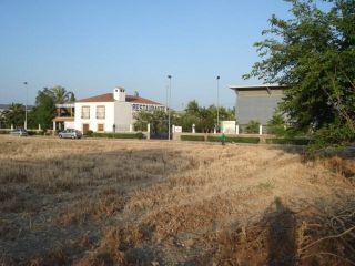 Pisos banco pedro abad