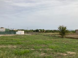 Promoción de terrenos en venta en sre- 2 y sre- 3 poligono: 191 parcela: 210 en la provincia de Valencia 11