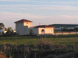 Promoción en Vereda Del Pozo (polígono 12), Dolores, Alicante 2