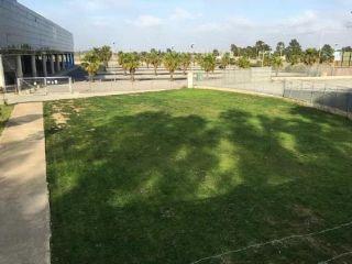 Promoción en Avda. Francisco Montenegro, S/n, Huelva, Huelva 2