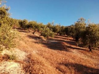 Otros en venta en Alcaudete de 11  m²