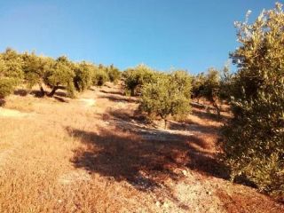 Rústico en venta en Pre. Sierra San Pedro, Poligono, Alcaudete, Jaén 2