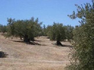 Otros en venta en Alcaudete de 9  m²
