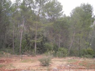 Otros en venta en Montizon de 271  m²