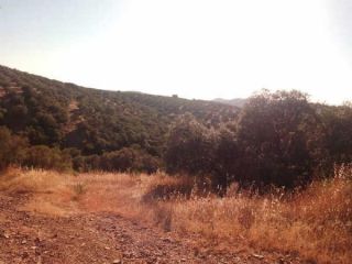 Rústico en venta en Pre. Las Aguilas, S/n, Montizon, Jaén 2