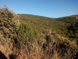 Rústico en venta en Pre. Las Aguilas, S/n, Montizon, Jaén 3