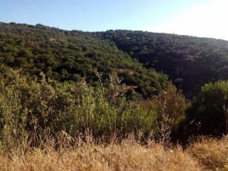 Rústico en venta en Pre. Las Aguilas, S/n, Montizon, Jaén 4