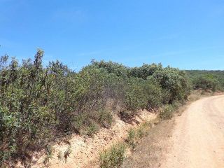 Otros en venta en Montizon de 241  m²