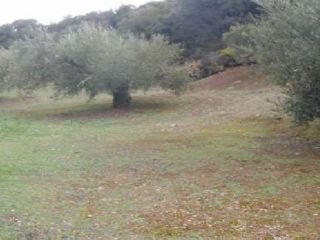 Pisos banco martos