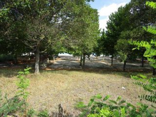Urbano no consolidado en venta en Avda. Prado De Irache, 6, Irache, Navarra 7