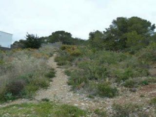 Promoción en Plan Parcial Ppu-06 Comafarella, S/n, Calafell, Tarragona 2