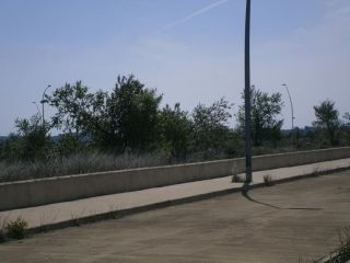 Otros en venta en Muela, La de 6999  m²