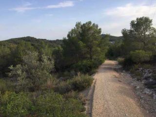 Otros en venta en Perelló (el) de 9450  m²