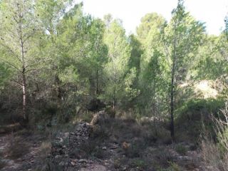 Suelo en venta en c. partida raco de la olivera pol 11 parc 278, s/n, Sierra Engarceran, Castellón 11