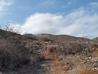 Urbanizable en transformación en venta en C. Jose De Sosa. Parcela 76-M-11, 74, San Isidro (galdar), Las Palmas 3