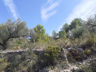 Rústico en venta en C. Pedania De Bitem, 127, Bitem, Tarragona 3