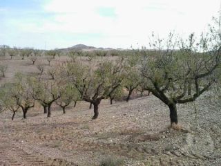 Promoción de suelos en venta en pre. campillo, s/n en la provincia de Almería 2