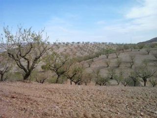 Promoción de suelos en venta en pre. campillo, s/n en la provincia de Almería 3