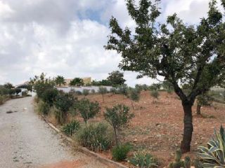 Promoción de suelos en venta en pre. campillo, s/n en la provincia de Almería 7