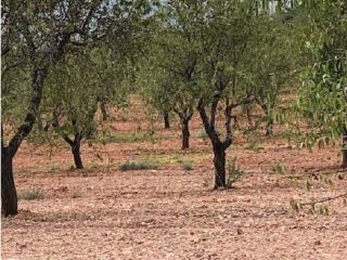 Promoción de suelos en venta en pre. campillo, s/n en la provincia de Almería 8