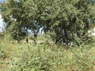 Otros en venta en Binissalem de 400  m²