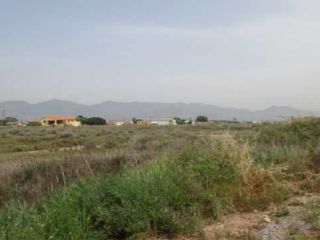 Otros en venta en Grao De Castellón de 3849  m²