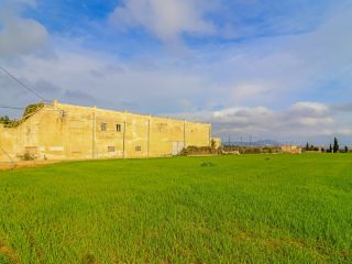 Rústico en venta en Pre. Son Morey, 553, Muro, Illes Balears 5