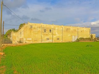Rústico en venta en Pre. Son Morey, 553, Muro, Illes Balears 6