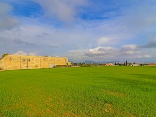 Rústico en venta en Pre. Son Morey, 553, Muro, Illes Balears 7