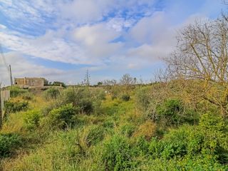 Rústico en venta en Pre. Son Morey, 553, Muro, Illes Balears 12