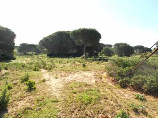 Otros en venta en Chiclana De La Frontera de 57000  m²
