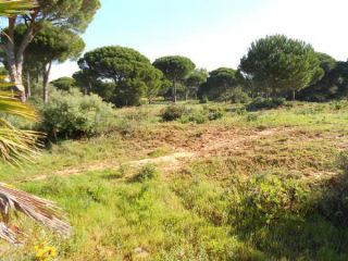 Suelo en Chiclana de la Frontera 3