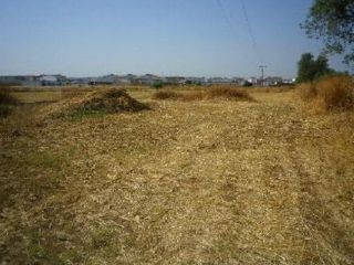 Promoción de suelos en venta en los arenales. plan parcial 4, b4 en la provincia de Huelva 1