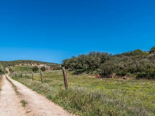 Rústico en venta en Paraje Boca De Pozanco Poligono 5 Parcela 224, Yebenes, Los, Toledo 3