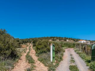 Rústico en venta en Paraje Boca De Pozanco Poligono 5 Parcela 224, Yebenes, Los, Toledo 7