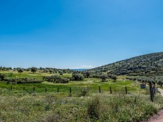 Rústico en venta en Paraje Boca De Pozanco Poligono 5 Parcela 224, Yebenes, Los, Toledo 10