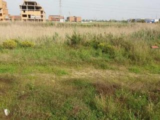 Urbanizable en transformación en venta en C. Parcela Número Rl3 Del Plan Parcial Su-S2, Gelves, Sevilla 2
