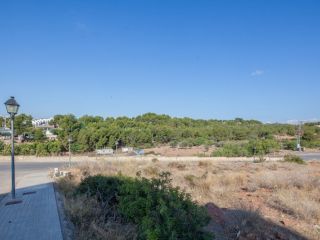 Urbano para construir en venta en C. Ribera Baixa (horta Nova), 211, Naquera, Valencia 9